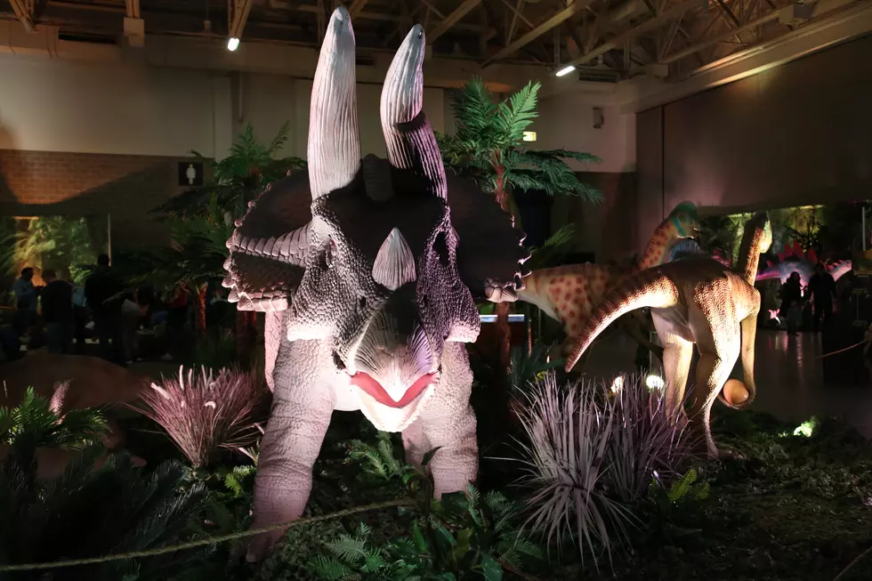 Take The Family To Dinosaur Adventures When It Roars Into The Quad Cities