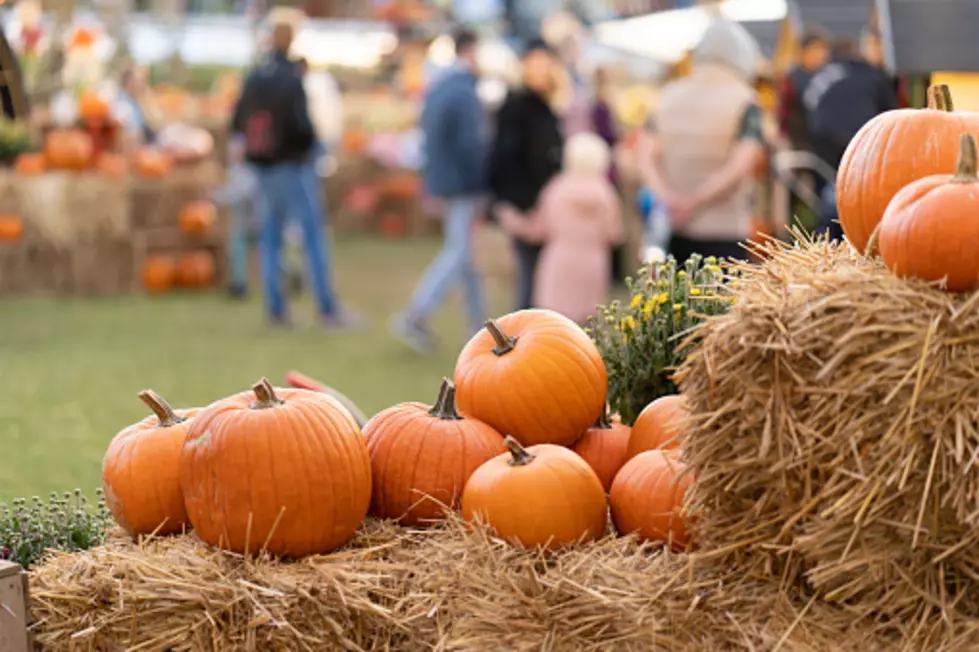 Fall Fest Returns to LeClaire’s Levee for a Day of Family Fun